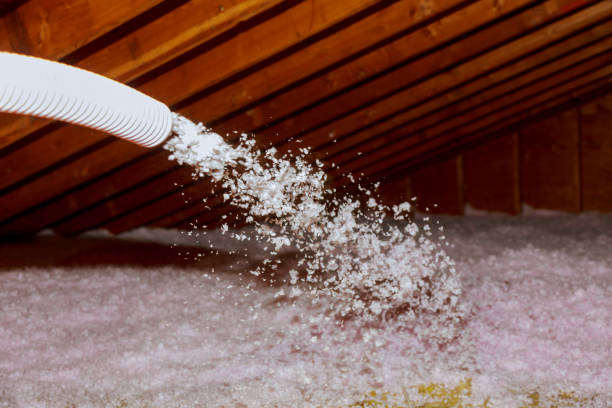 Best Insulation Maintenance and Repair in Sarcoxie, MO