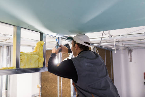 Best Insulation Maintenance and Repair in Sarcoxie, MO