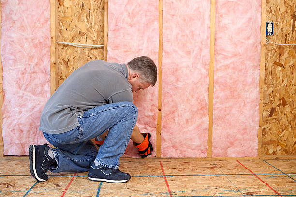 Best Geographic-Specific Insulation Services in Sarcoxie, MO